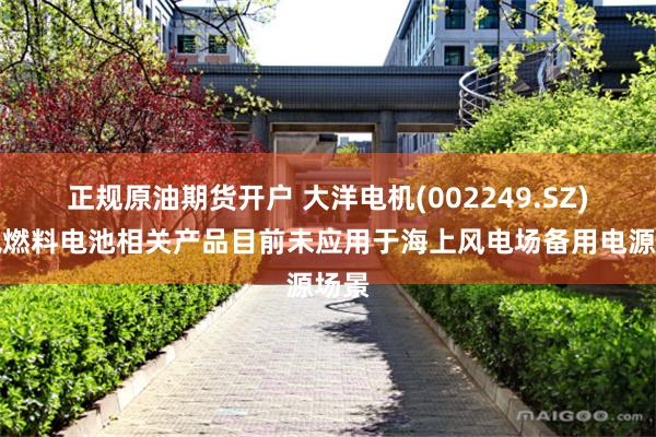 正规原油期货开户 大洋电机(002249.SZ)：氢燃料电池相关产品目前未应用于海上风电场备用电源场景
