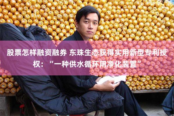 股票怎样融资融券 东珠生态获得实用新型专利授权：“一种供水循环用净化装置”