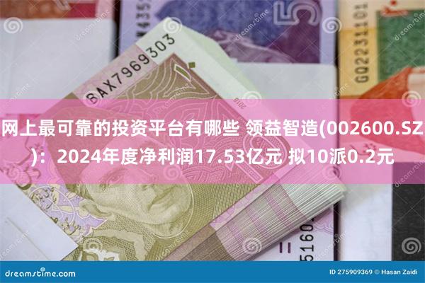 网上最可靠的投资平台有哪些 领益智造(002600.SZ)：2024年度净利润17.53亿元 拟10派0.2元