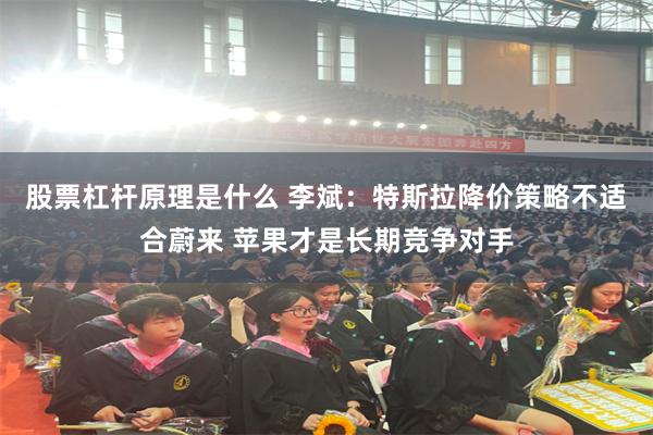 股票杠杆原理是什么 李斌：特斯拉降价策略不适合蔚来 苹果才是长期竞争对手