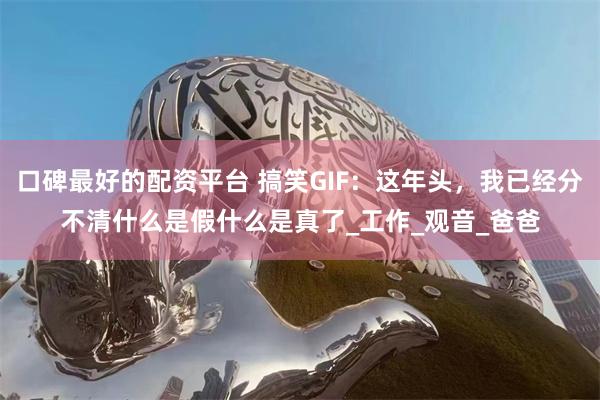口碑最好的配资平台 搞笑GIF：这年头，我已经分不清什么是假什么是真了_工作_观音_爸爸