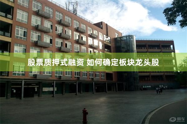 股票质押式融资 如何确定板块龙头股