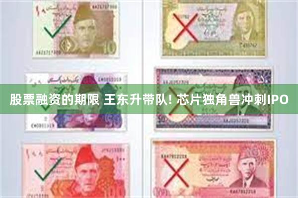 股票融资的期限 王东升带队! 芯片独角兽冲刺IPO
