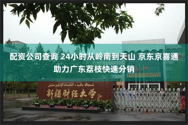 配资公司查询 24小时从岭南到天山 京东京喜通助力广东荔枝快速分销