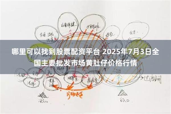 哪里可以找到股票配资平台 2025年7月3日全国主要批发市场黄肚仔价格行情